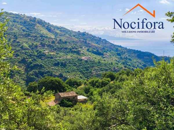 terreno agricolo in vendita a Fiumedinisi
