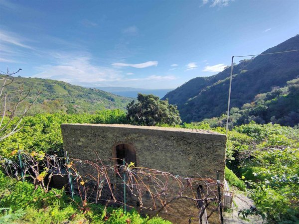 terreno agricolo in vendita a Fiumedinisi