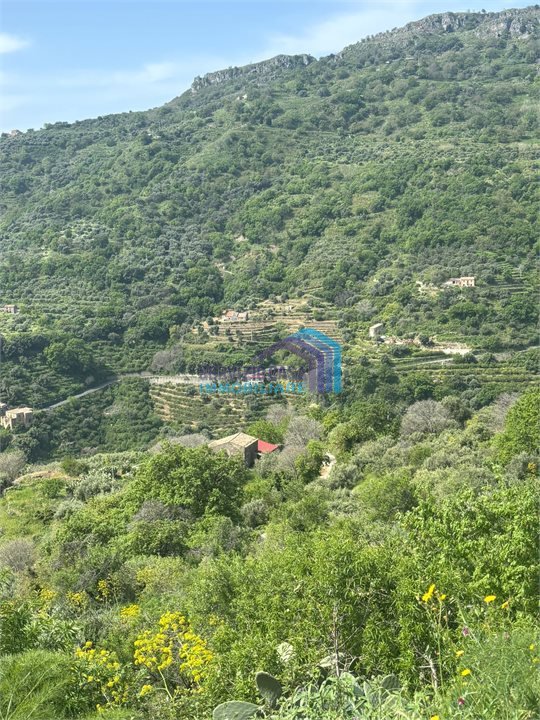 terreno edificabile in vendita a Fiumedinisi