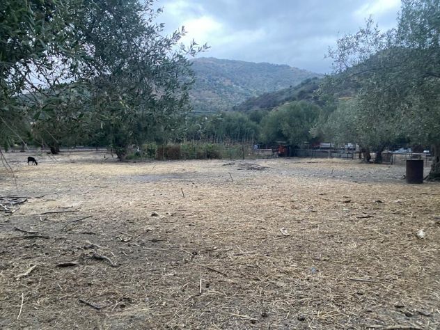 terreno agricolo in vendita a Forza d'Agrò in zona Scifì