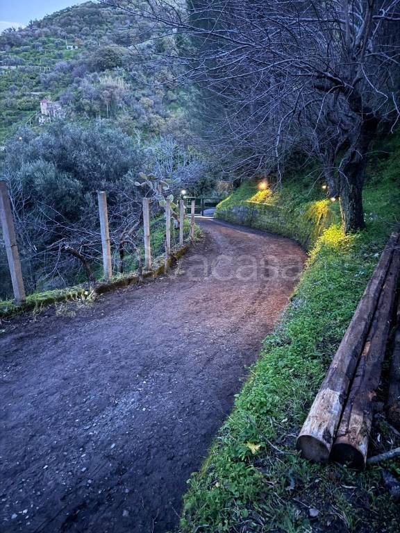 terreno agricolo in vendita a Forza d'Agrò