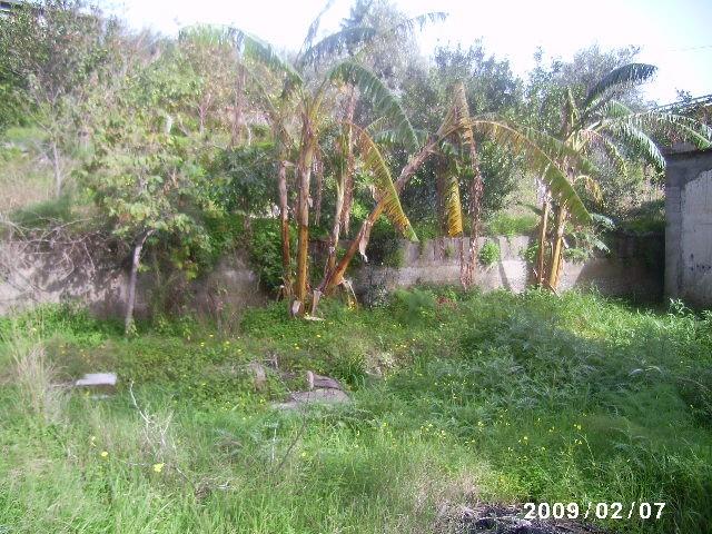 casa indipendente in vendita a Forza d'Agrò