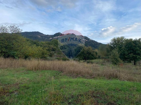 terreno agricolo in vendita a Francavilla di Sicilia