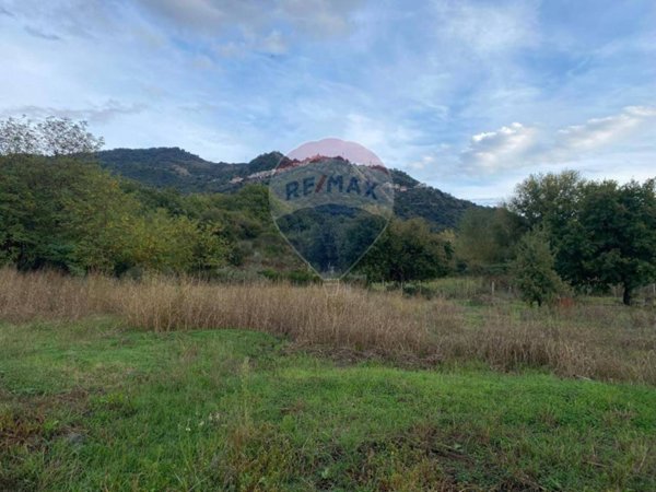 terreno agricolo in vendita a Francavilla di Sicilia