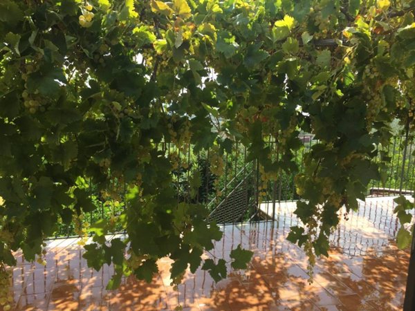 casa indipendente in vendita a Furci Siculo in zona Grotte