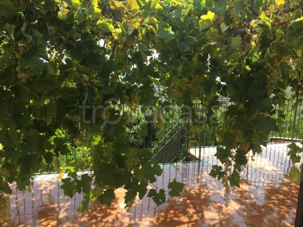 casa indipendente in vendita a Furci Siculo in zona Grotte