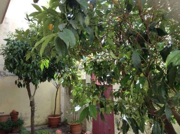 appartamento in vendita a Furci Siculo