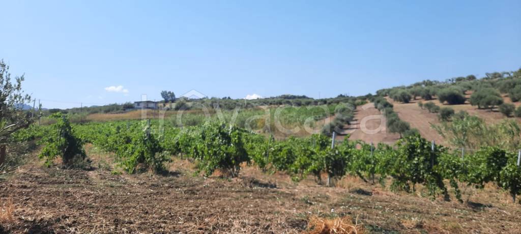terreno agricolo in vendita a Furnari