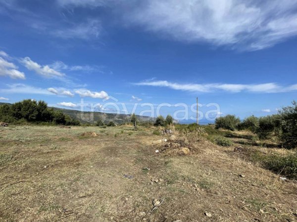 terreno agricolo in vendita a Furnari