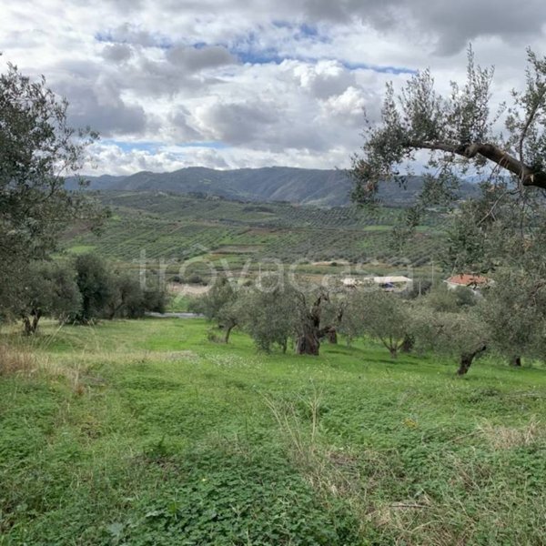 terreno agricolo in vendita a Furnari