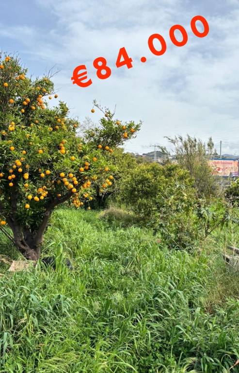 terreno agricolo in vendita a Furnari