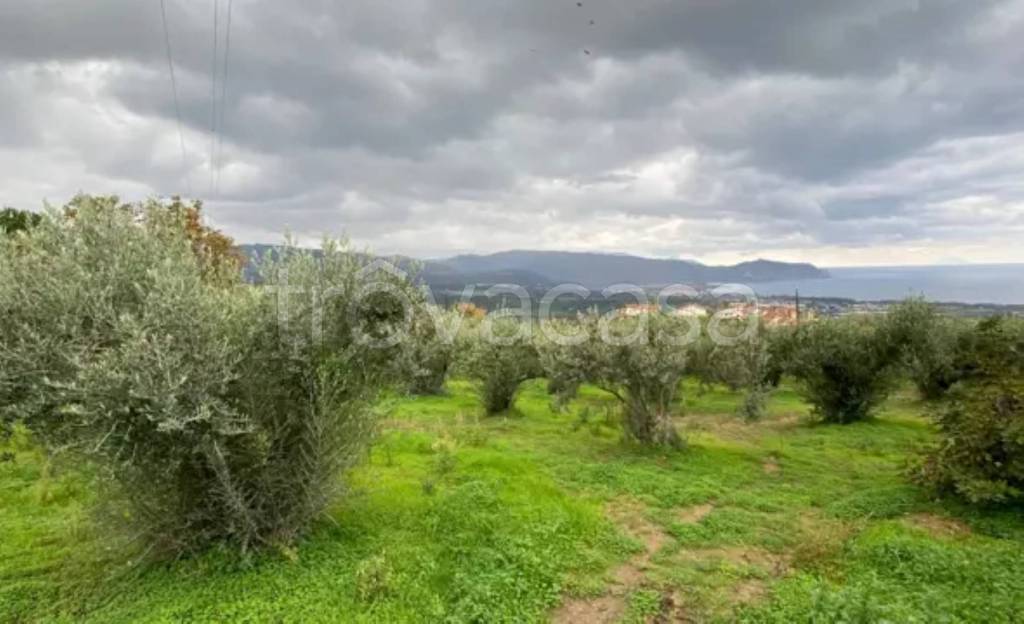 terreno agricolo in vendita a Furnari