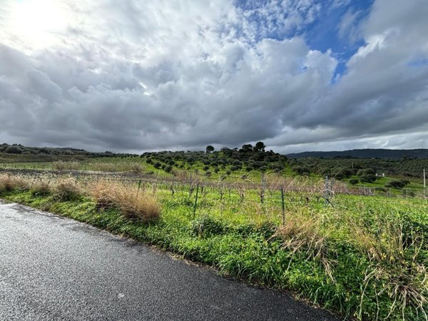 terreno agricolo in vendita a Furnari