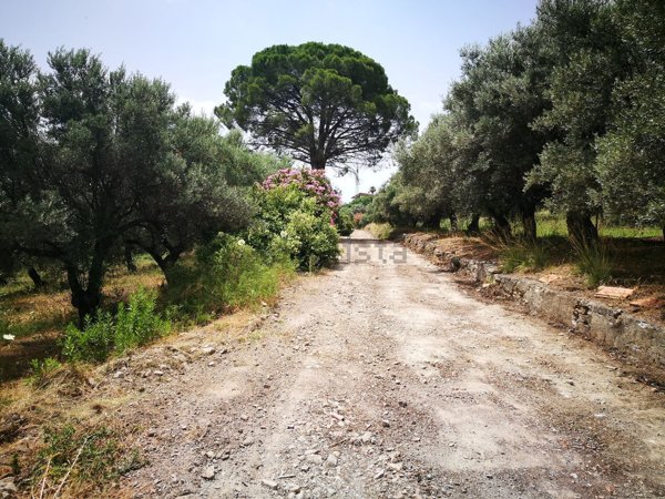 terreno agricolo in vendita a Furnari