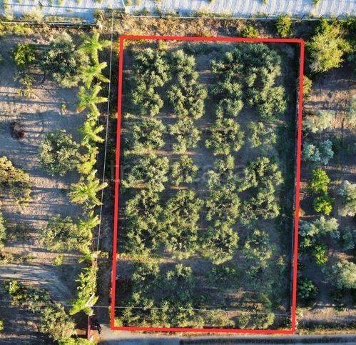 casa indipendente in vendita a Furnari