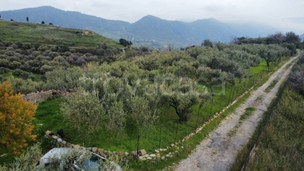 terreno agricolo in vendita a Furnari