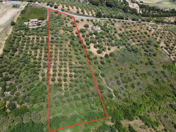 terreno agricolo in vendita a Furnari