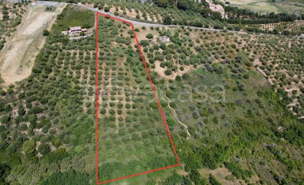 terreno agricolo in vendita a Furnari