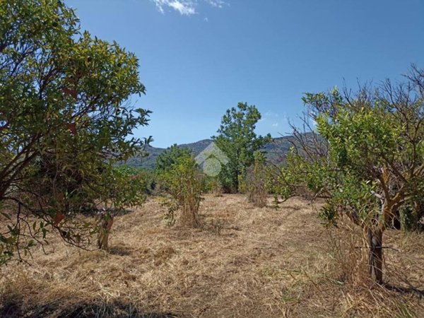 terreno agricolo in vendita a Gaggi