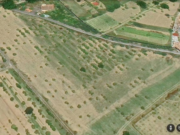 terreno agricolo in vendita a Gaggi