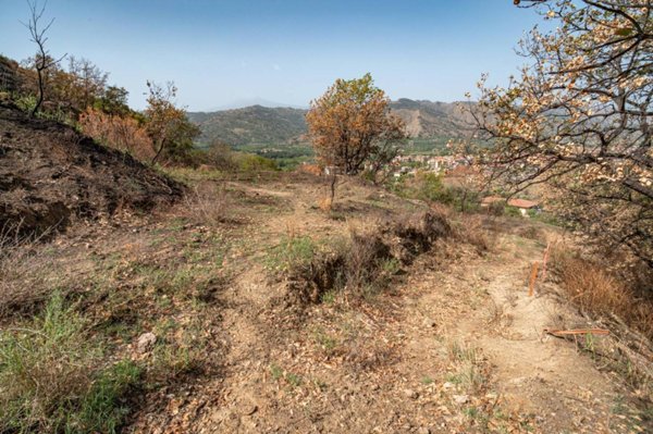 terreno agricolo in vendita a Gaggi