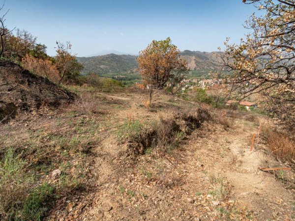 terreno agricolo in vendita a Gaggi