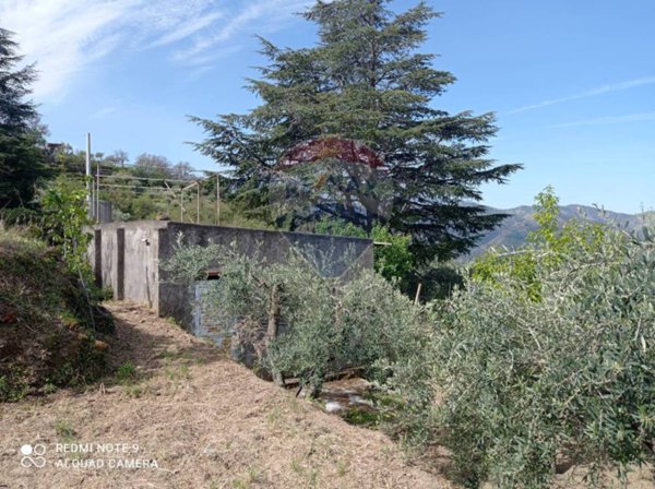 terreno agricolo in vendita a Gaggi