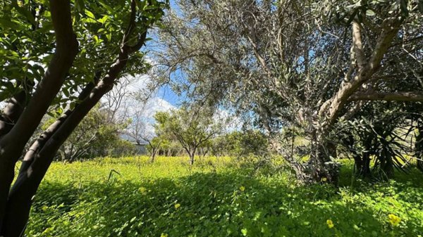 terreno agricolo in vendita a Gaggi