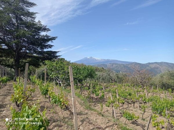 terreno agricolo in vendita a Gaggi