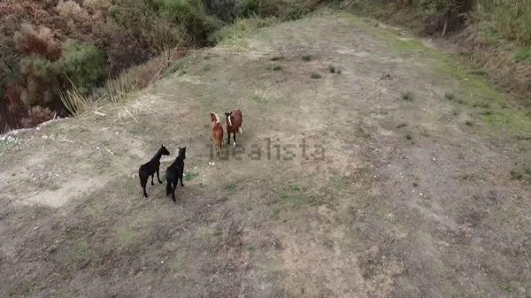 terreno agricolo in vendita a Gaggi