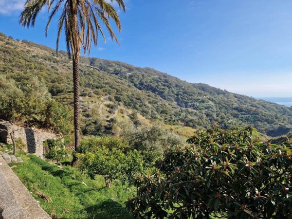 casale in vendita a Gallodoro