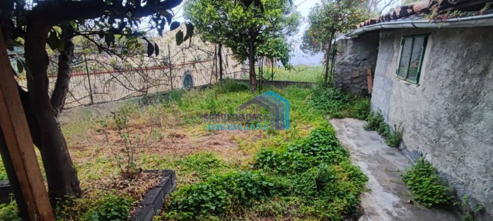 casa indipendente in vendita a Gallodoro