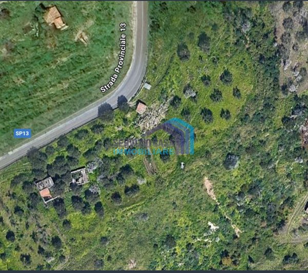 terreno edificabile in vendita a Gallodoro