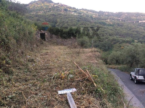 terreno agricolo in vendita a Gallodoro