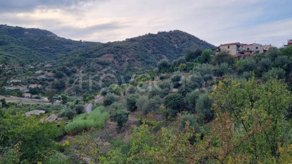 terreno agricolo in vendita a Gioiosa Marea