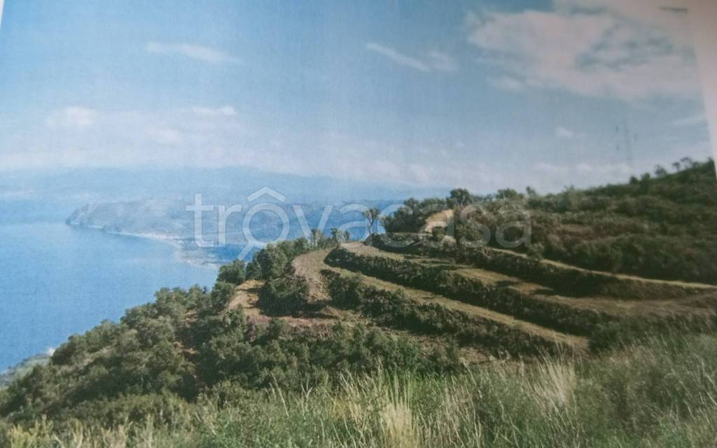 terreno agricolo in vendita a Gioiosa Marea