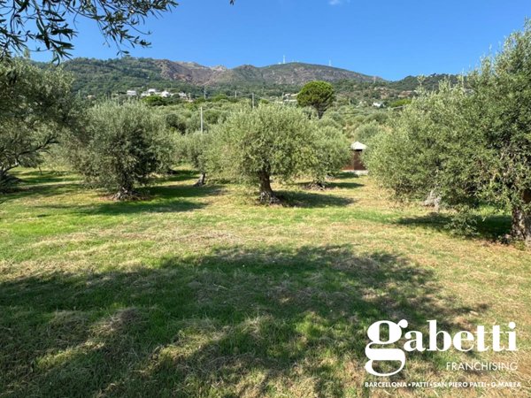 terreno agricolo in vendita a Gioiosa Marea in zona Galbato