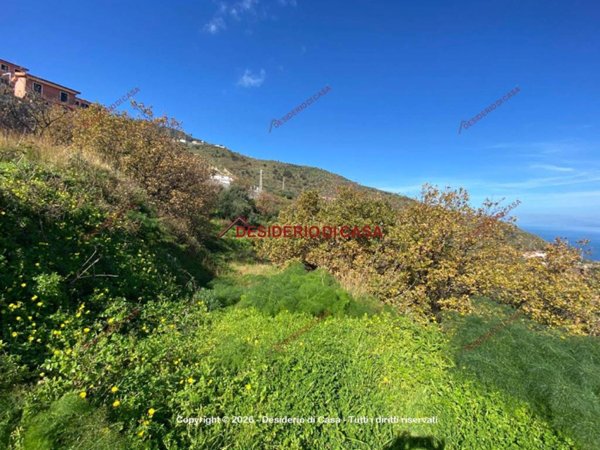 terreno agricolo in vendita a Gioiosa Marea in zona Galbato