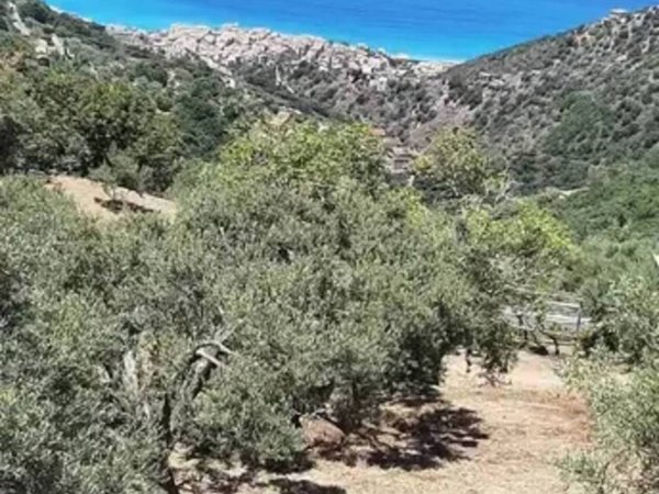 appartamento in vendita a Gioiosa Marea in zona Balsima