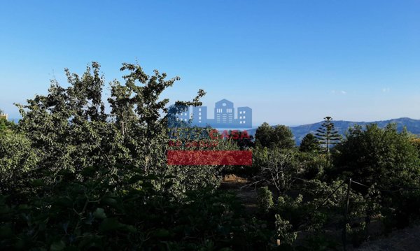 casa indipendente in vendita a Graniti