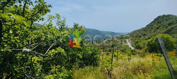 terreno agricolo in vendita a Graniti