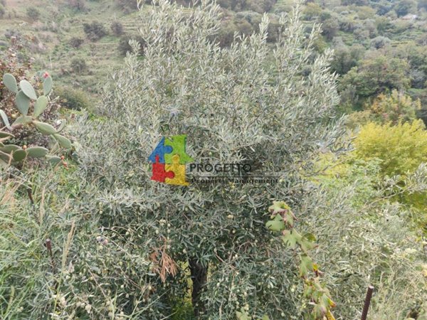 casa indipendente in vendita a Graniti