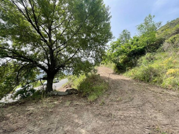 terreno agricolo in vendita a Graniti