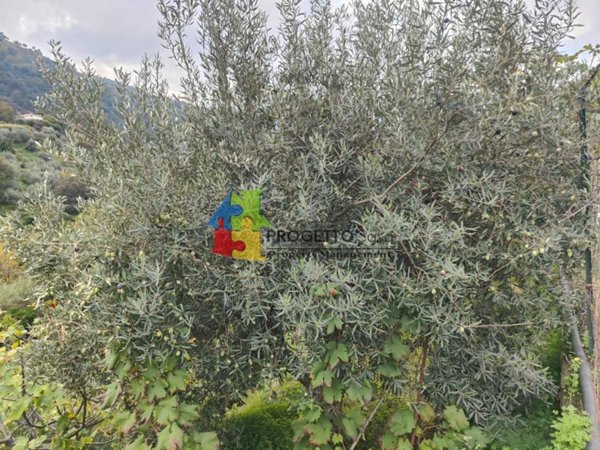 casa indipendente in vendita a Graniti