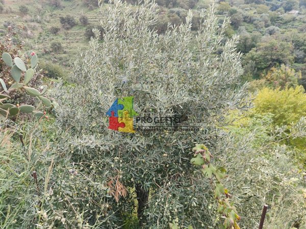 casa indipendente in vendita a Graniti