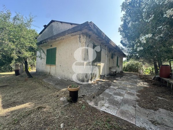 casa indipendente in vendita a Gualtieri Sicaminò