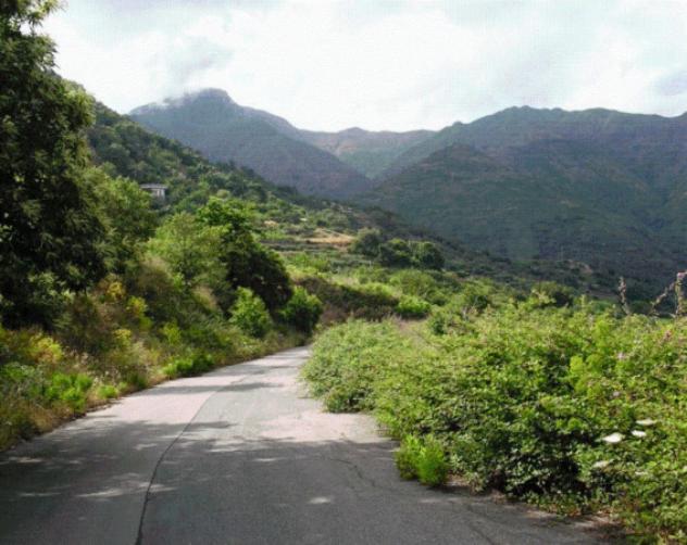 terreno agricolo in vendita ad Itala