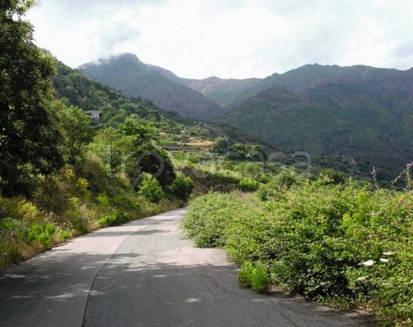 terreno agricolo in vendita ad Itala