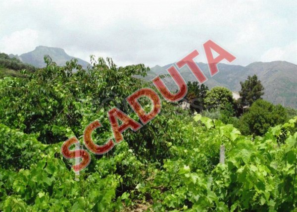 terreno agricolo in vendita ad Itala