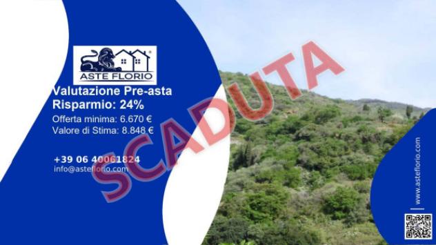 terreno agricolo in vendita ad Itala